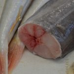 Ribarnica Gruz 14122018 27