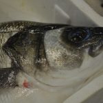 Ribarnica Gruz 14122018 30