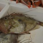 Ribarnica Gruz 14122018 32