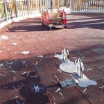 Solitudo Staklo Igraliste 5