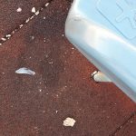 Solitudo Staklo Igraliste 6