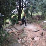 Stazom deva humanitarna utrka 41
