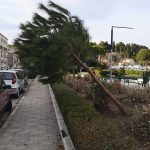 Vjetar steta gruz 4