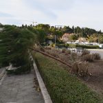Vjetar steta gruz 5
