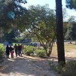 lokrum 5
