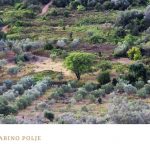 putevima proslosti 6