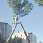 c vrtlar bor003