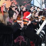 dso kamenice11