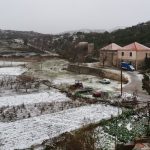snijeg trnovica