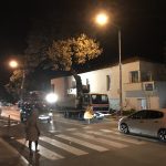 uklanjanje stabla na vojnovicu 1