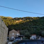 005brsecine sut