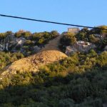006brsecine sut