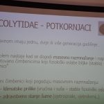 Lokrum prezentacija potkornjaci 32