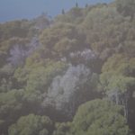 Lokrum prezentacija potkornjaci 49