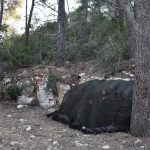 Lokrum prezentacija potkornjaci 98