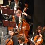 Petar i vuk DSO 15
