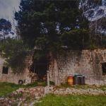 Slavica Stojan 2