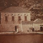 Slavica Stojan 3