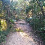 arboretum bura steta 7
