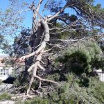 bura nevrijeme 230219 1