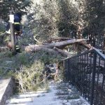 bura nevrijeme 230219 5