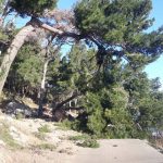 bura nevrijeme 230219 7