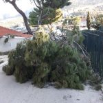 bura nevrijeme 230219 9