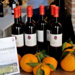festi wine italija 6