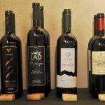 festi wine italija 7