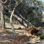 lokrum bura 3