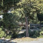 lokrum bura 4
