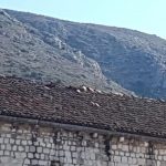 radeljevic kupe
