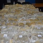 zaplijena marihuana crnogorci 11