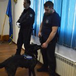 zaplijena marihuana crnogorci 17