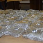 zaplijena marihuana crnogorci 8