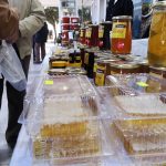 Mediteranski Sajam otvaranje 3