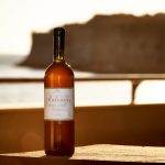 crvik malvasija dubrovacka 27