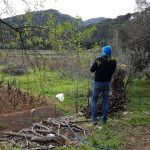 mljet ocuvanje vinove loze 2