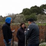 mljet ocuvanje vinove loze 8