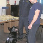 molly pressica policija marihuana 26