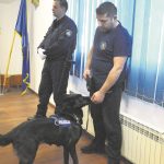 molly pressica policija marihuana 28