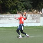sharks11