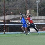 sharks14
