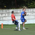 sharks15