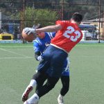 sharks22