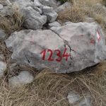 FOTO/HUMANITARNI USPON '100 žena na Sniježnici' za Stijepa Sutića! 5 snijeznica 100 zena 2019 4