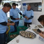 ston kamenice10