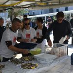 ston kamenice37