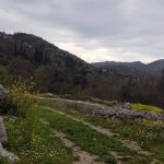 Cvjetnica Osojnik 5