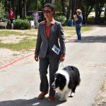 Izlozba pasa Solitudo 26